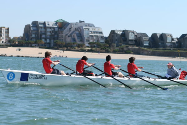 Aviron de mer_univ la rochelle