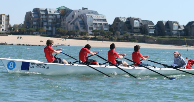 Aviron de mer_univ la rochelle