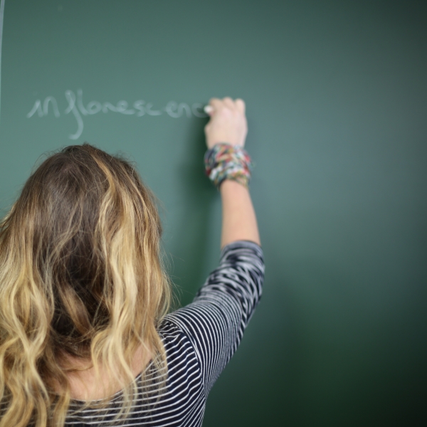 Formations et certifications des langues