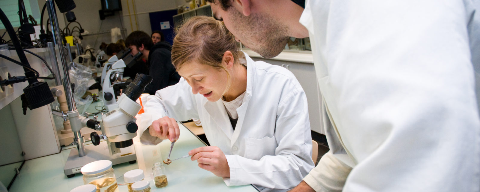Les laboratoires de recherche univ la rochelle