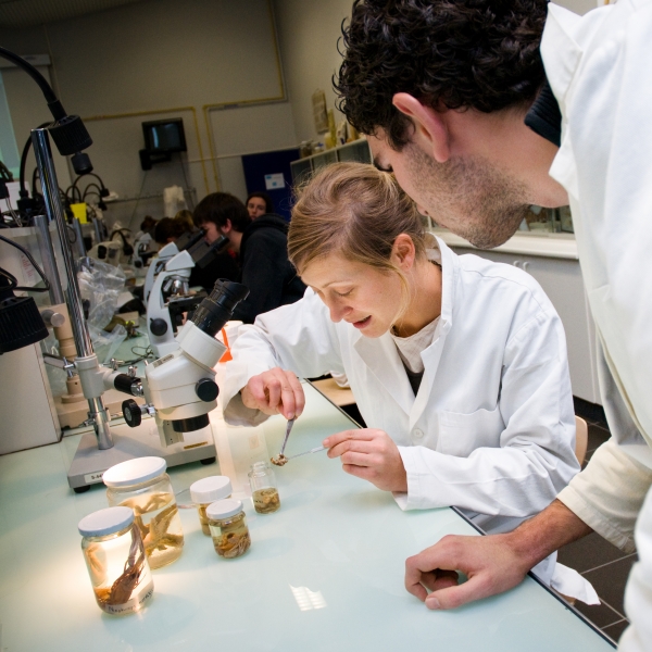 Les laboratoires de recherche univ la rochelle