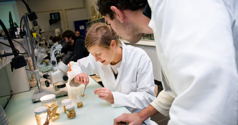 Les laboratoires de recherche univ la rochelle