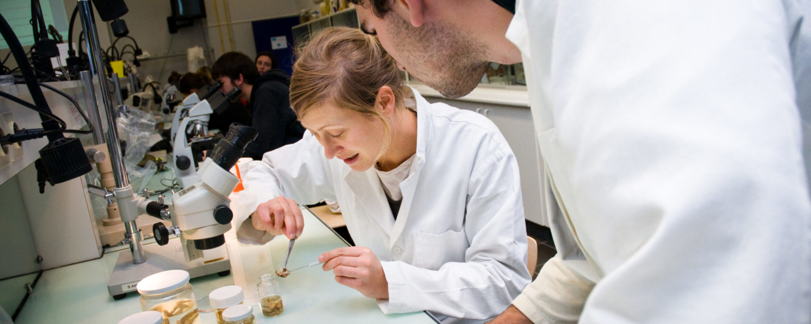 Les laboratoires de recherche univ la rochelle