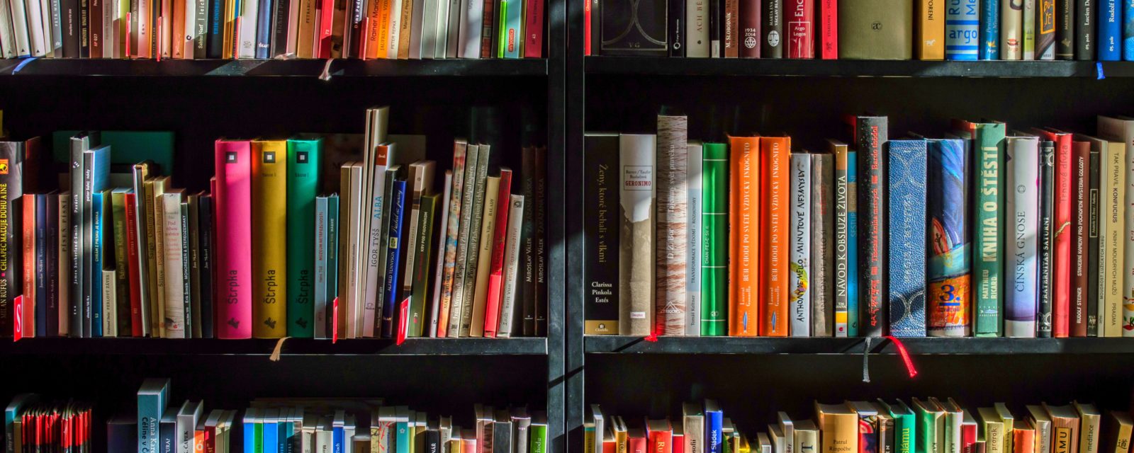 publications scientifiques_univ la rochelle
