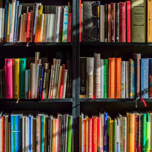 publications scientifiques_univ la rochelle