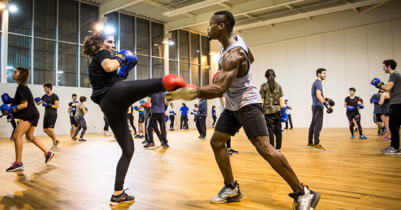 Boxe française