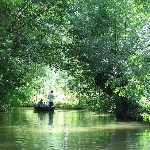 MaraisPoitevin