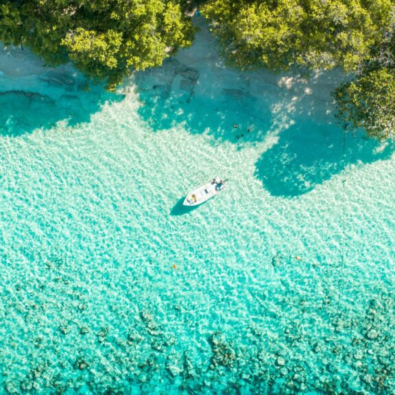 Ile