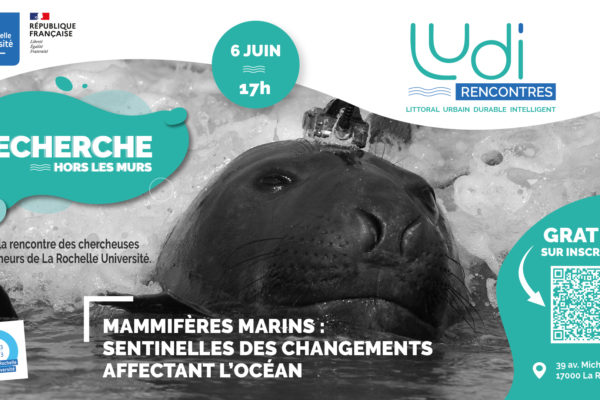 Mammifères marins : sentinelles des changements affectant l'Océan 1