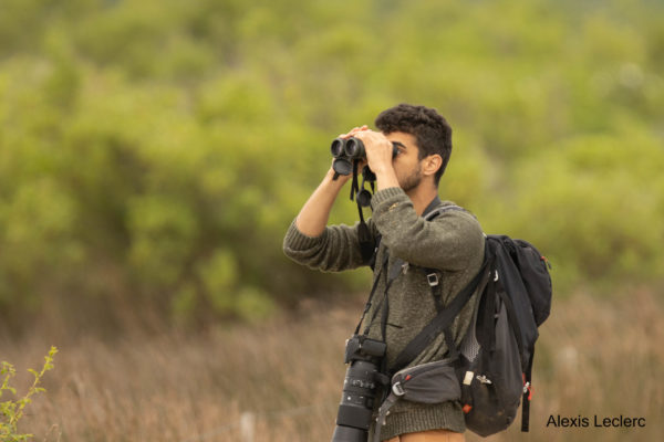 Une journée aux côtés des stagiaires du D.U. Photographie de nature et d’environnement