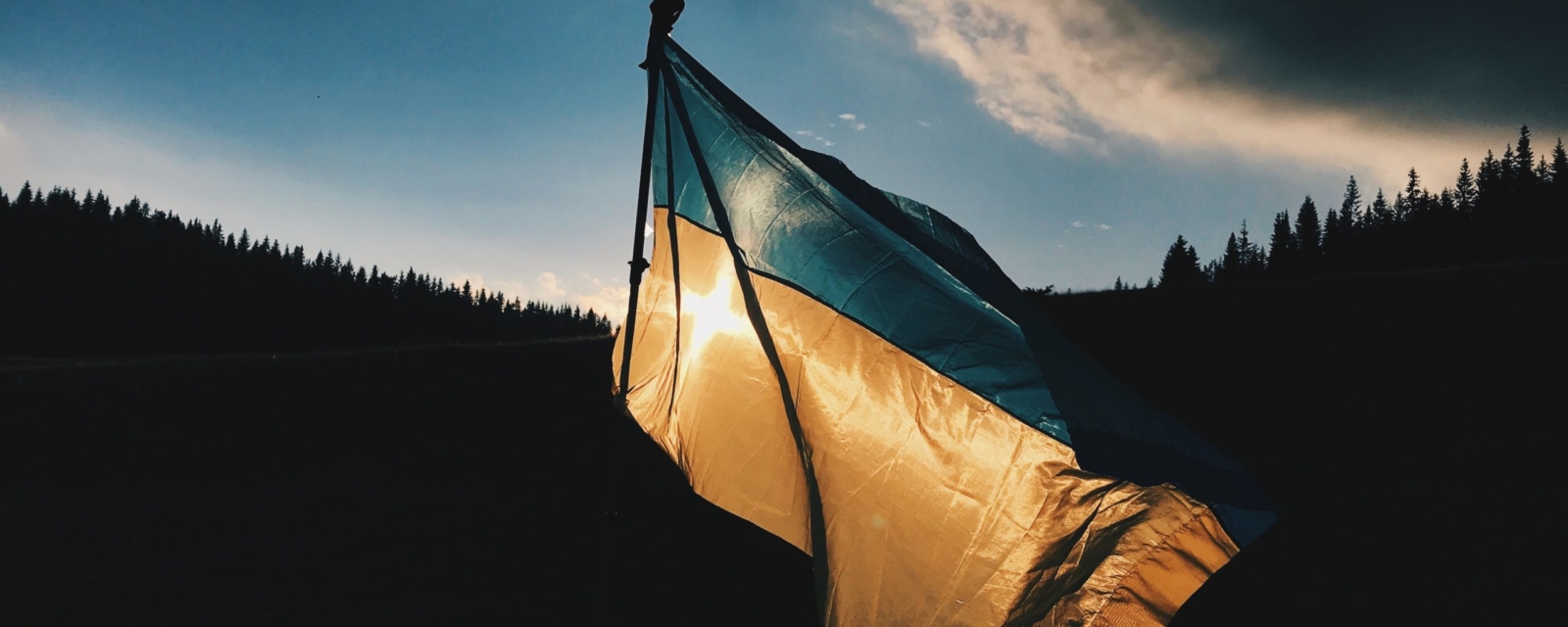 Drapeau ukraine