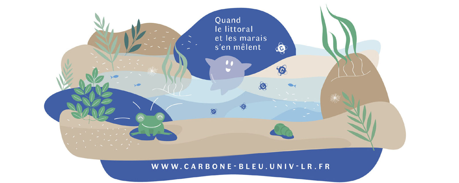 Carbone bleu, quand le littoral et les marais s’en mêlent 1