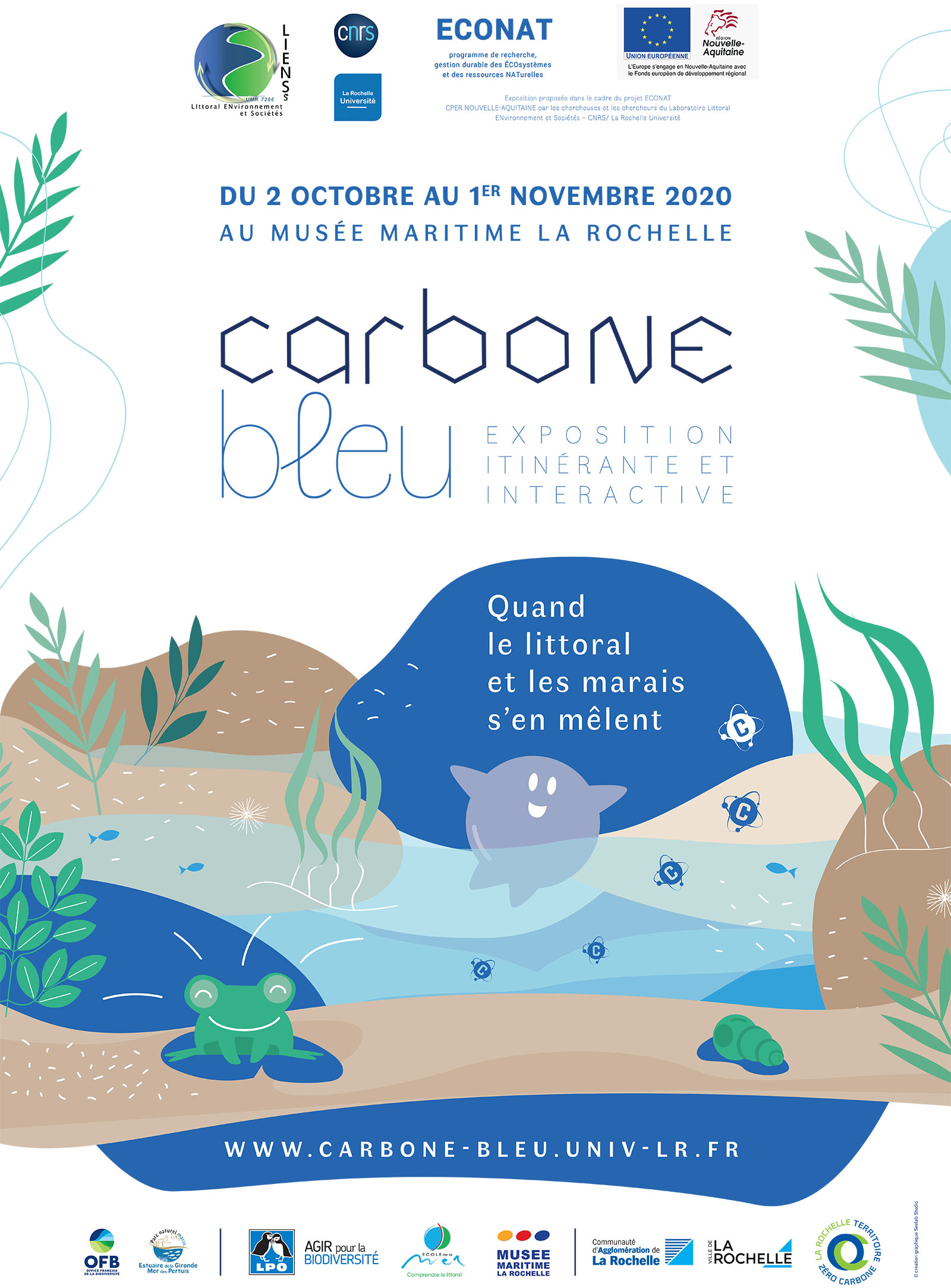 Carbone bleu, quand le littoral et les marais s’en mêlent 2