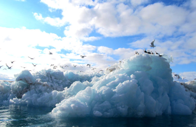 Changement climatique et contamination par le mercure