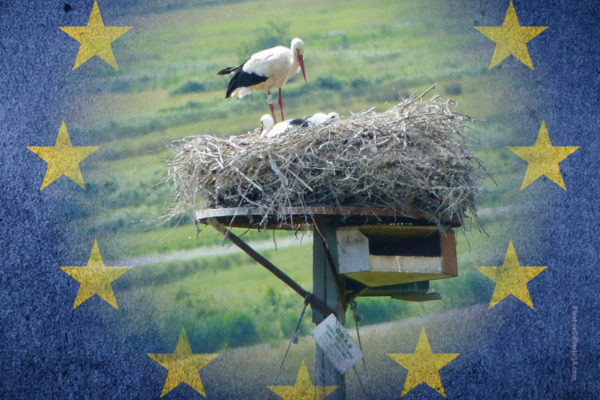 Colloque sur l’intégration nationale du droit européen de l’environnement au 21e siècle