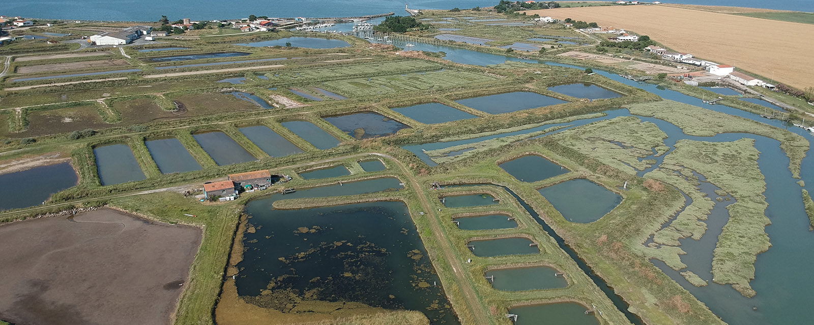 Comité de Pilotage pour le projet AQUAECOs au sein du laboratoire LIENSs de La Rochelle Université 3