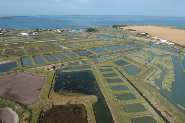 Comité de Pilotage pour le projet AQUAECOs au sein du laboratoire LIENSs de La Rochelle Université 3