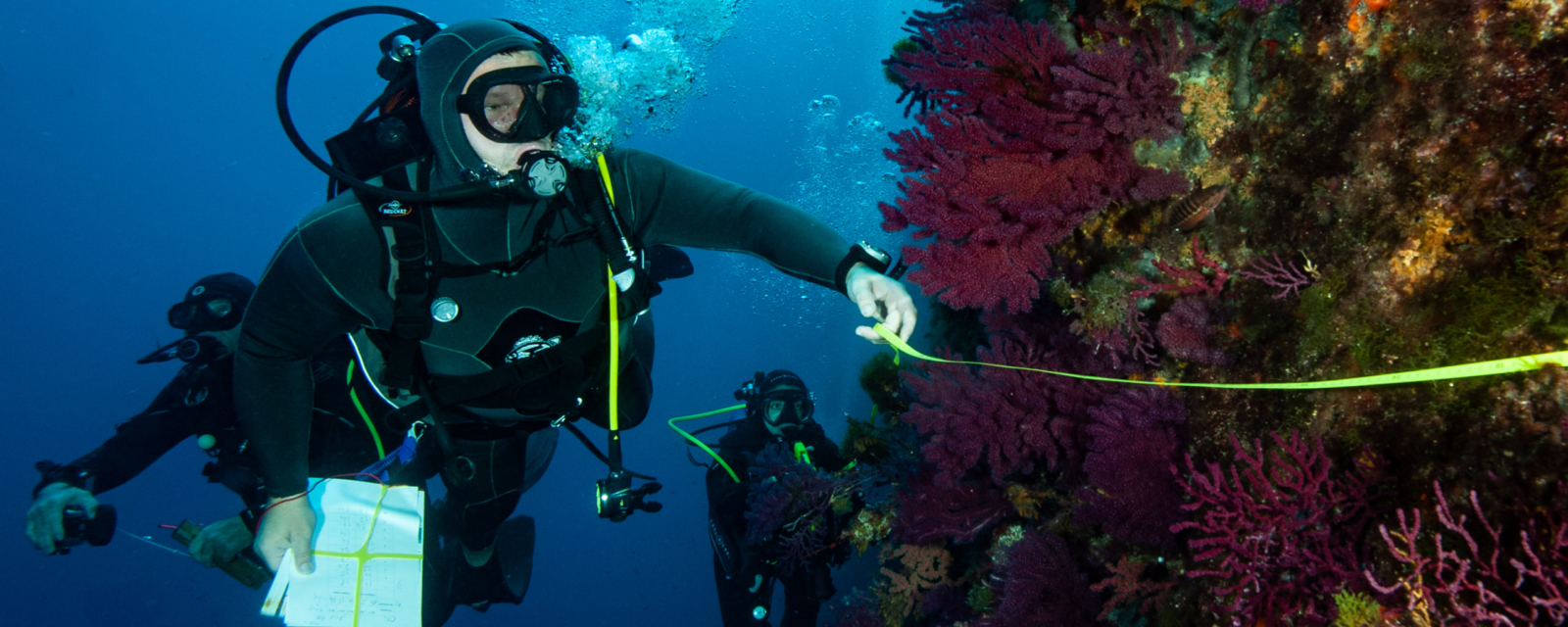 Du XV de France à la protection des fonds marins en Méditerranée, itinéraire d'un amoureux de la mer 3