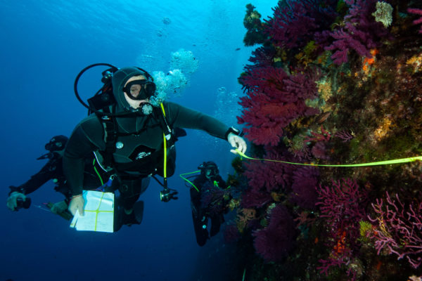 Du XV de France à la protection des fonds marins en Méditerranée, itinéraire d'un amoureux de la mer 3