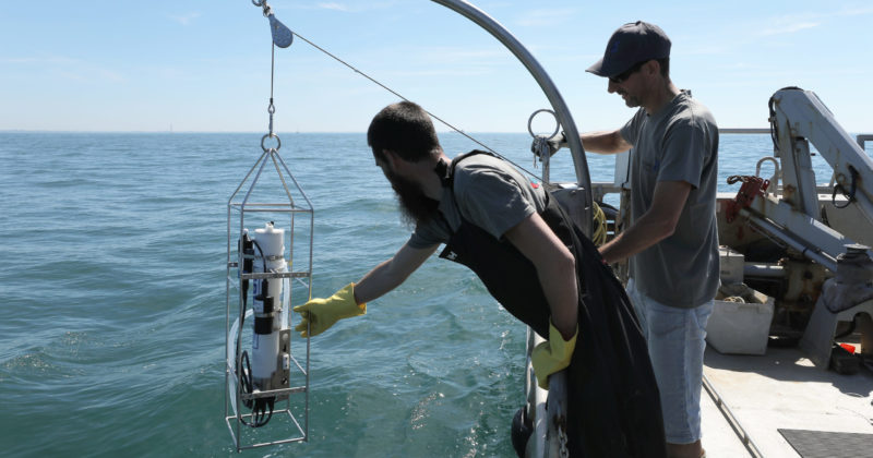 Filière Environnement, Gestion du littoral