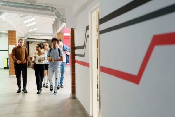 Quelle formation choisir après le bac ?