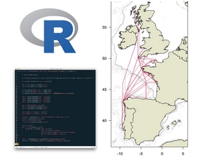 Informatique - Web - Images - Télécommunications 5