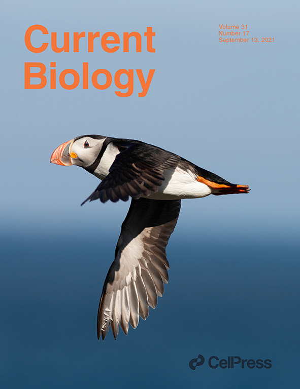 La chaire ECOMM fait la couverture de Current Biology