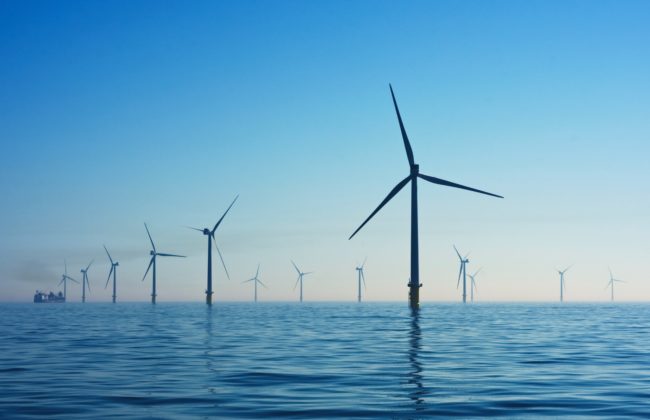 Lancement des mineures EU-CONEXUS à La Rochelle Université