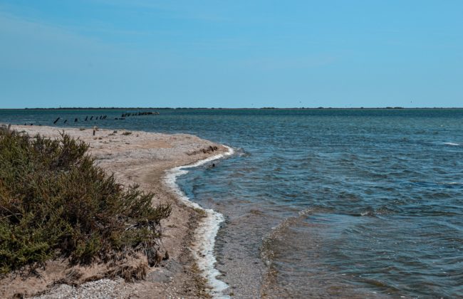 Littoral