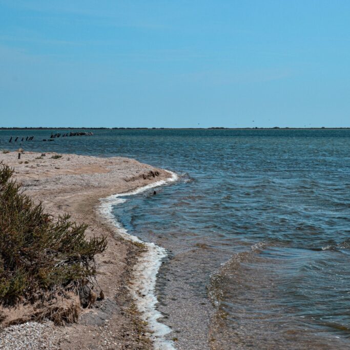 Littoral