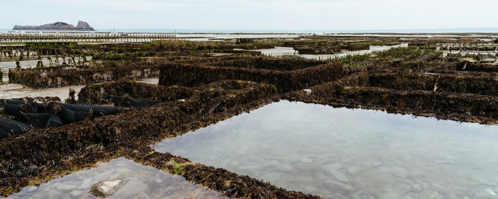 Projet FEAMP PLASTIC LAB : réunion de restitution des résultats