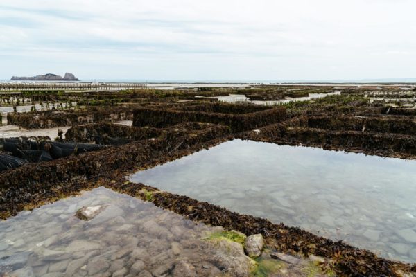 Projet FEAMP PLASTIC LAB : réunion de restitution des résultats