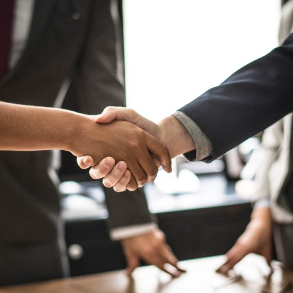 Partners & Projects