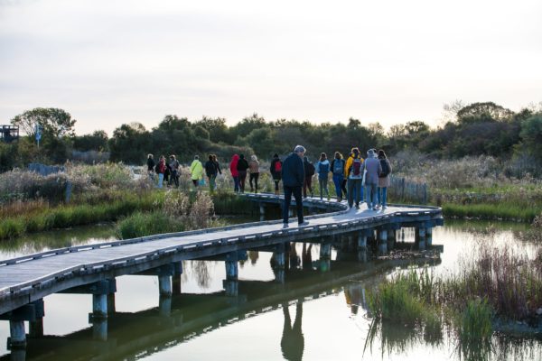 Visite terrain Rencontres LUDI 2022