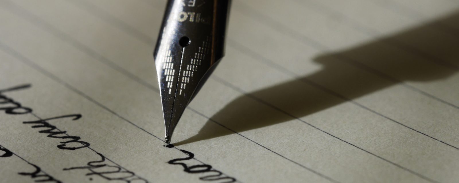 Supplément au diplôme université