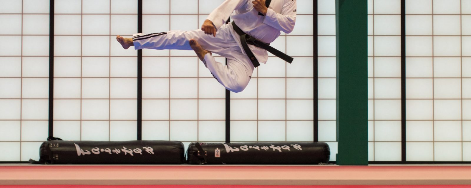 Taekwondo