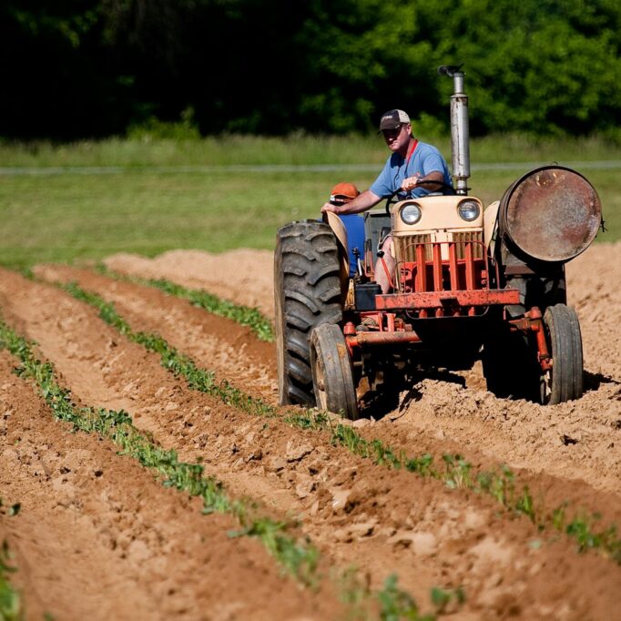 pexels-nc-farm-bureau-mark-2252618