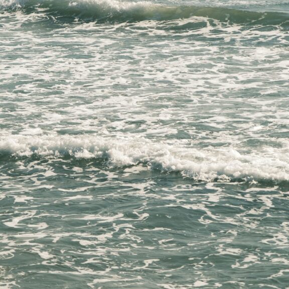 pexels-rahimegul-28281599