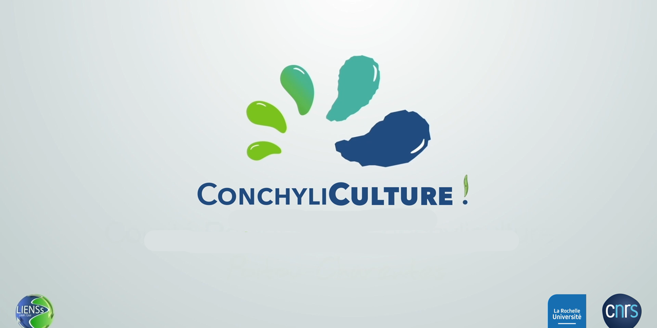 Comprendre la conchyliculture !