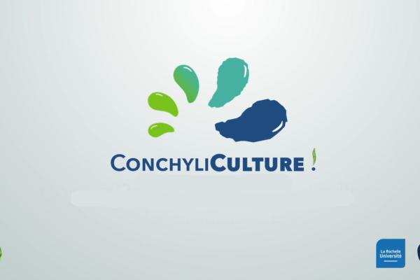 Comprendre la conchyliculture !