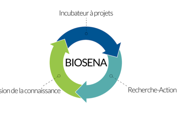 Premières Journées séminaires du réseau BIOSENA les 2 et 3 novembre à La Rochelle