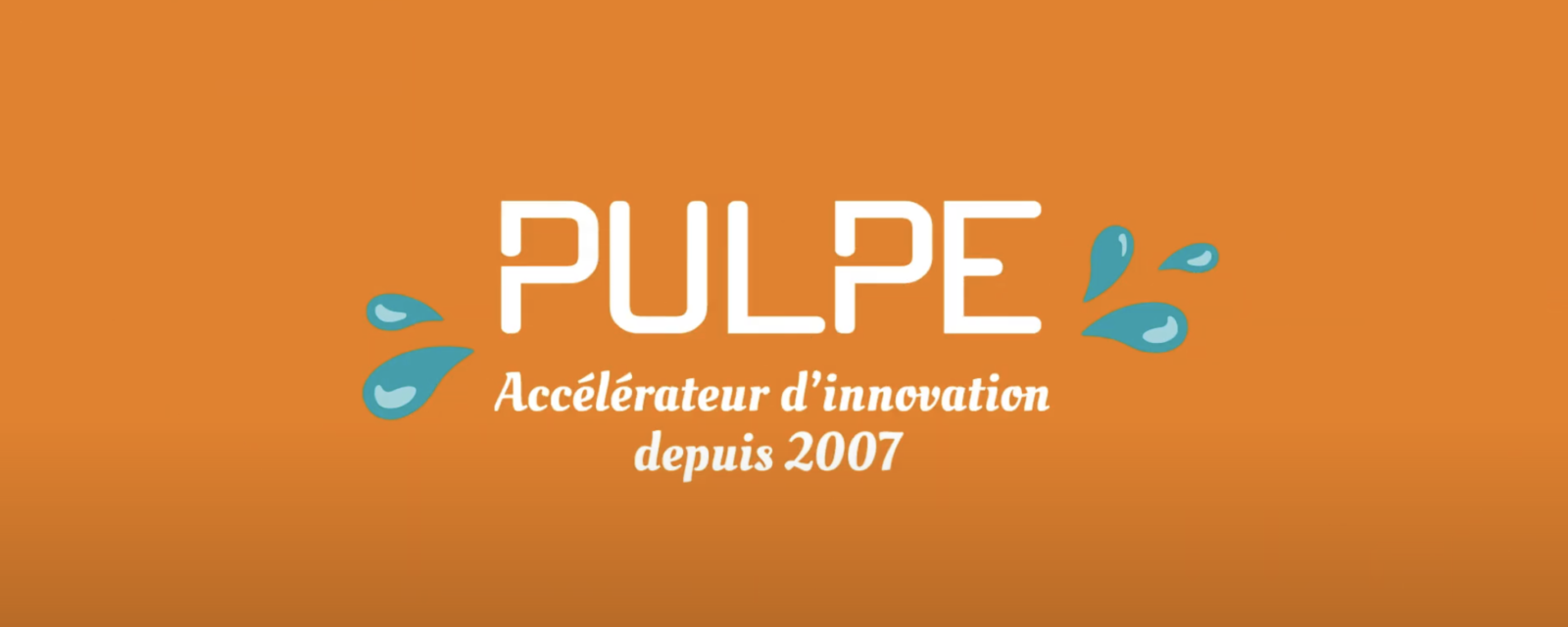 PULPE