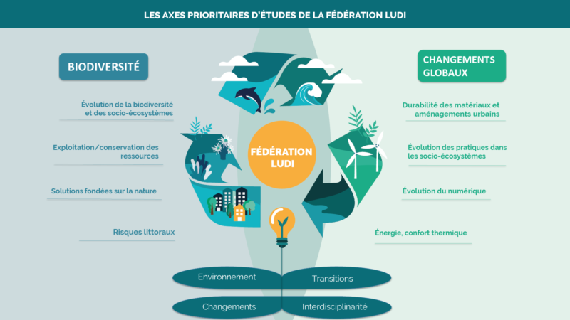 Les deux axes prioritaires d'études de la Fédération LUDI sont la biodiversité et les changements globaux. La biodiversité comprend l'évolution de la biodiversité et des socio-écosystèmes, l'exploitation/conservation des ressources, les solutions fondées sur la nature et les risques littoraux. Les changement globaux comprennent la durabilité des matériaux et aménagements urbains, l'évolution des pratiques dans les socio-écosystèmes, l'évolution du numérique et l'énergie, confort thermique. L'environnement, les changements, l'interdisciplinarité et les transitions sont au cœur de ces deux axes.