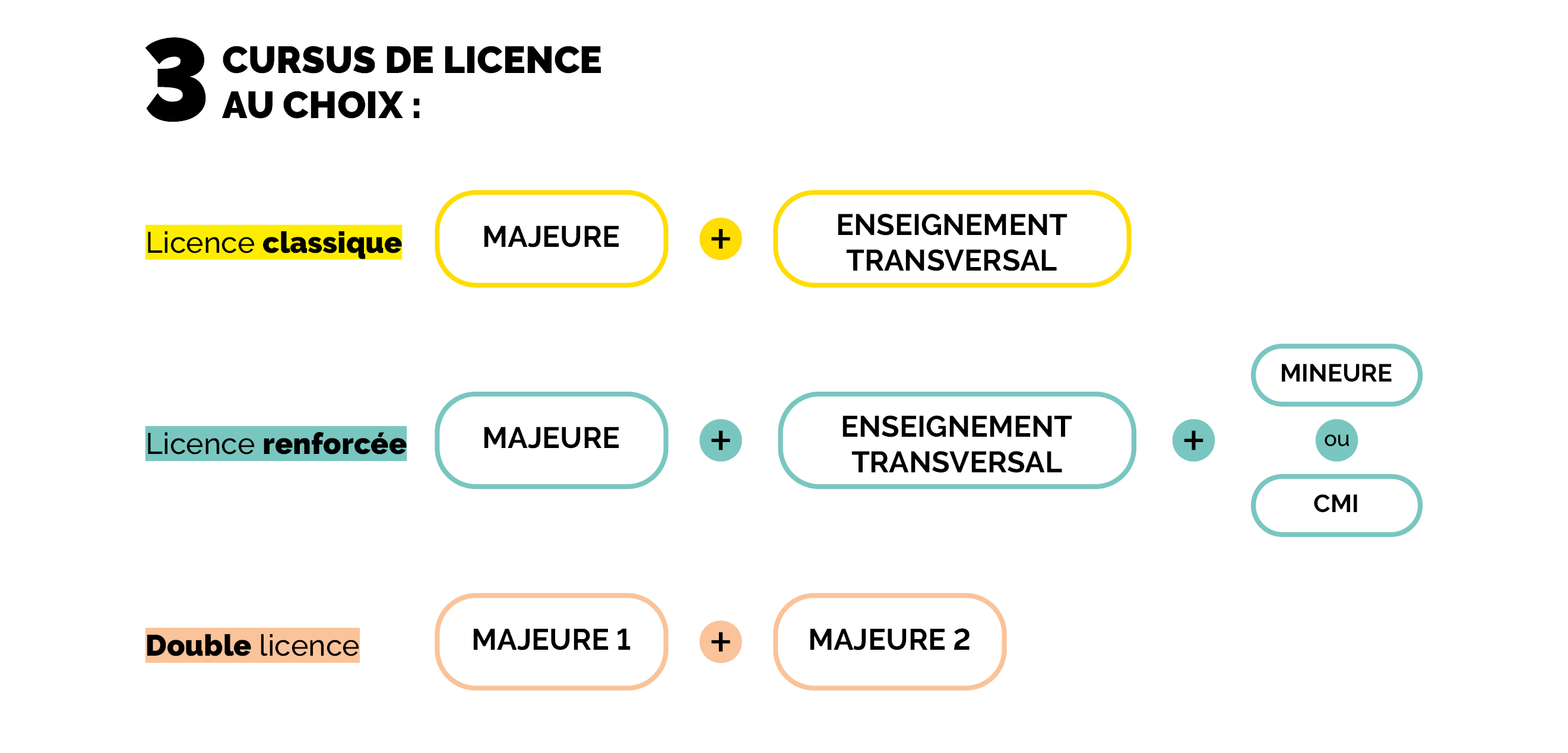 Il existe 3 cursus de Licence à La Rochelle Université. La licence classique : La licence classique se concentre sur les enseignements de la majeure, c’est-à-dire la mention d’inscription en licence. Chaque semestre comprend 4 UE majeures et 1 UE transversale. La licence renforcée : Le cursus licence renforcée comprend les enseignements de la licence classique (4 UE majeures et 1 UE transversale), auxquels peuvent être ajouté une personnalisation au choix parmi : une mineure (métiers, thématique ou européenne), ou le Cursus Master Ingénierie (CMI). La double licence : La double licence comporte des enseignements de deux disciplines différentes. Cette formation permet aux étudiants de développer des compétences approfondies dans deux disciplines et d’obtenir deux diplômes de licence.