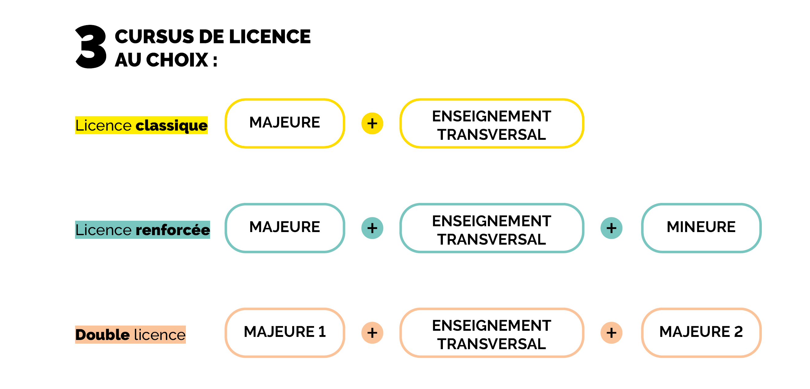 Il existe 3 cursus de Licence à La Rochelle Université. La licence classique : La licence classique se concentre sur les enseignements de la majeure, c’est-à-dire la mention d’inscription en licence. Chaque semestre comprend 4 UE majeures et 1 UE transversale. La licence renforcée : Le cursus licence renforcée comprend les enseignements de la licence classique (4 UE majeures et 1 UE transversale), auxquels peuvent être ajouté une personnalisation au choix parmi : une mineure (métiers, thématique ou européenne), ou le Cursus Master Ingénierie (CMI). La double licence : La double licence comporte des enseignements de deux disciplines différentes. Cette formation permet aux étudiants de développer des compétences approfondies dans deux disciplines et d’obtenir deux diplômes de licence.