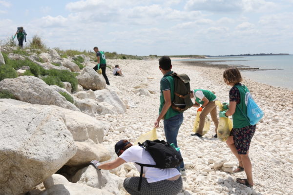 Une cleanwalk organisée par La Rochelle Université